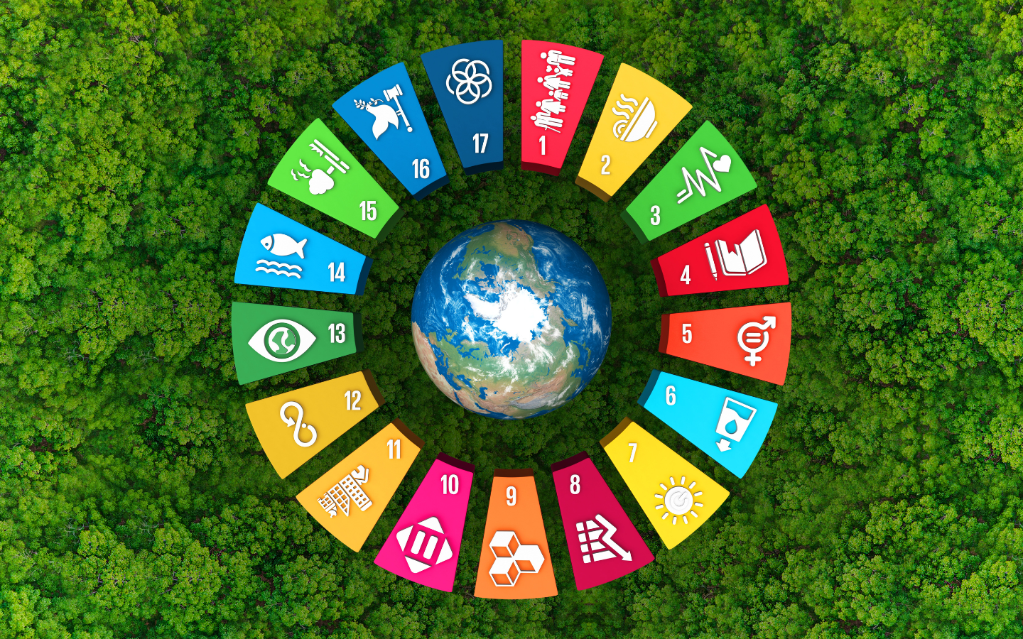 6324cfd9aeb4a909cdf33eb2_Untitled design (1)